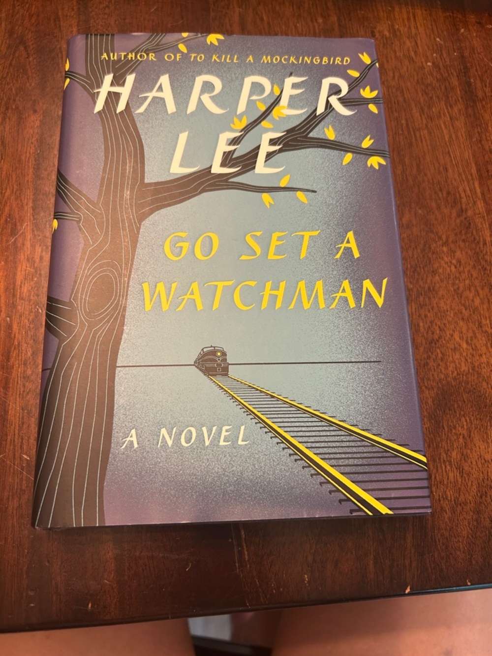 Harper Lee "Go Set a Watchman" Hardcover Novel - First edition